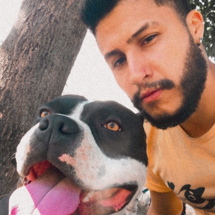 Passeio de cão pela Uau Street